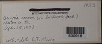 Image Associated With the Occurence